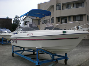 �J�g���A�T