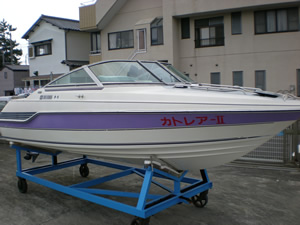 �J�g���A�U