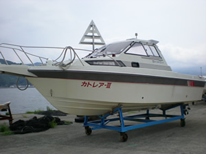 �J�g���A�V